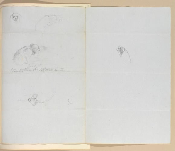 Master: MISCELLANEOUS DRAWINGS
Item: Dash