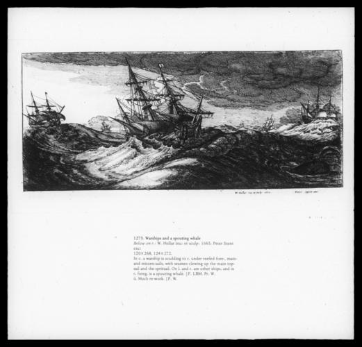 Warships and a spouting whale Warships and a spouting whale