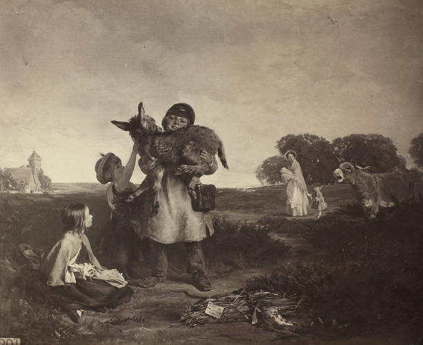 'The Pet of the Common' 'The Pet of the Common'