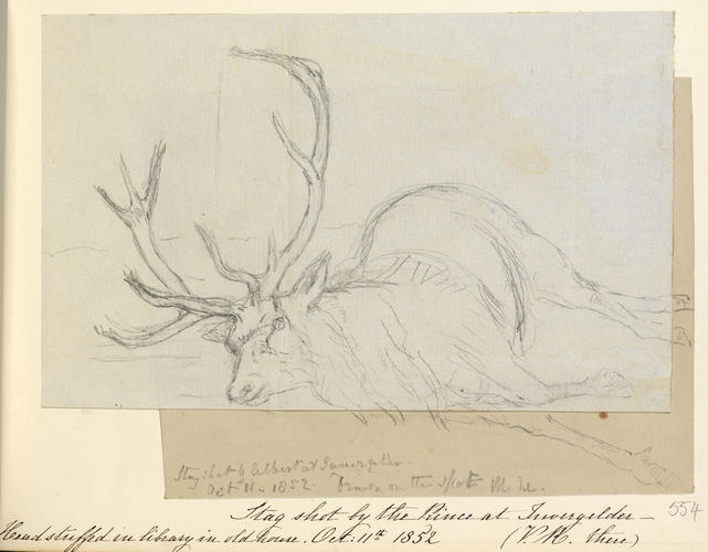 Stag shot by the Prince at Invergelder