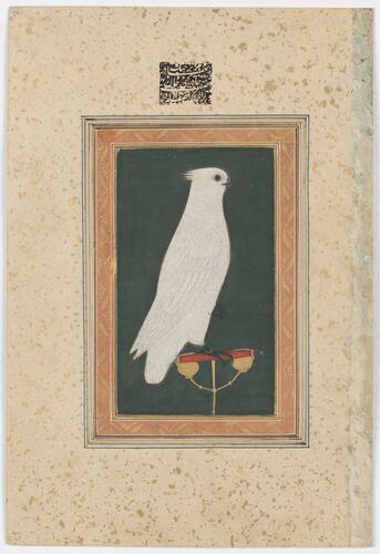 Master: Mughal album of portraits, animals and birds.
Item: Paintings of a white cockatoo and a yogini Master: Mughal album of portraits, animals and birds.
Item: Paintings of a white cockatoo and a yogini