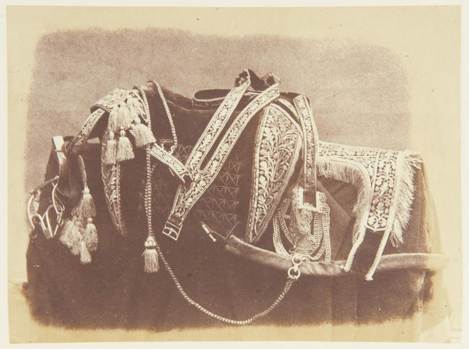 'Embroidered saddle' 'Embroidered saddle'