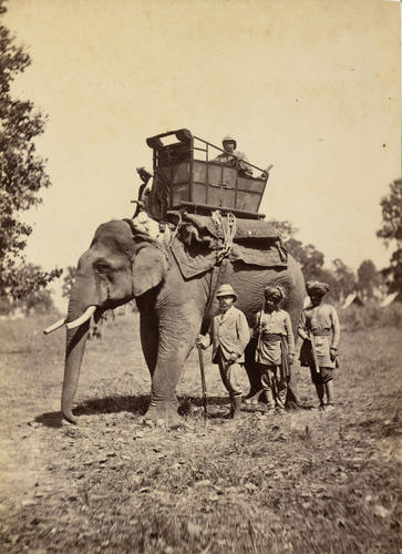 Albert Edward, Prince of Wales in India, 1875