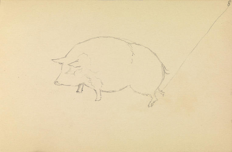 Master: Queen Alexandra's Sketchbook
Item: A pig