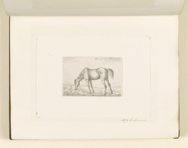 Master: Collection of Etchings done by Ferdinand King of Portugal, 1840.
Item: A horse eating grass