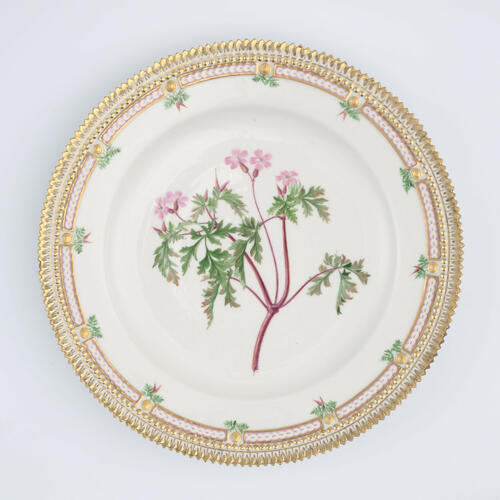 Master: Set of dinner plates
Item: Geranium robertianum