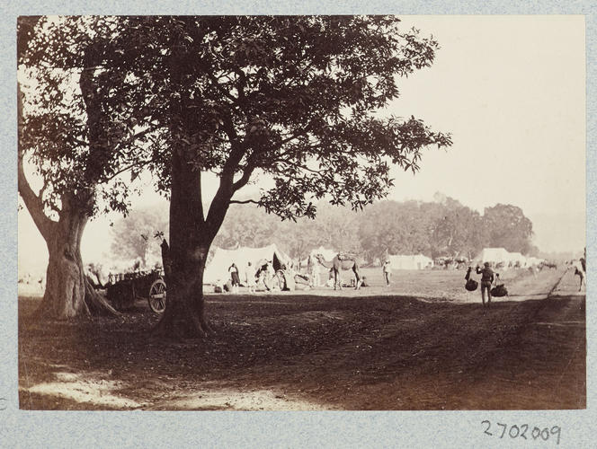 A bit in Camp Terai: Prince of Wales Tour of India 1875-6 (vol. 6) A bit in Camp Terai: Prince of Wales Tour of India 1875-6 (vol. 6)