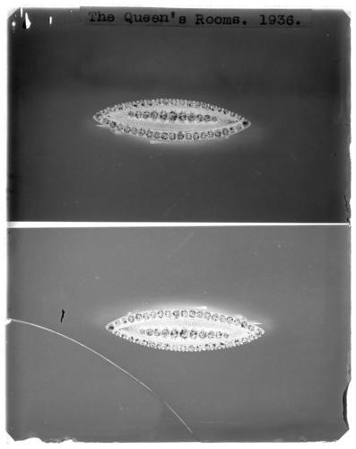 Glass plate negative of a brooch Glass plate negative of a brooch