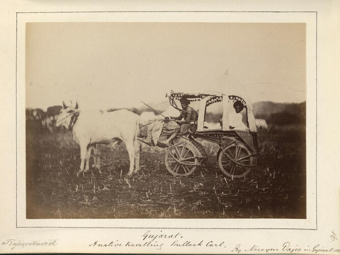 A Travelling Bullock Cart