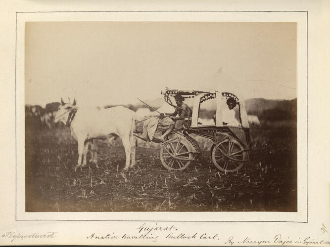 A Travelling Bullock Cart A Travelling Bullock Cart