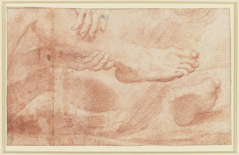 A study of hands holding a leg