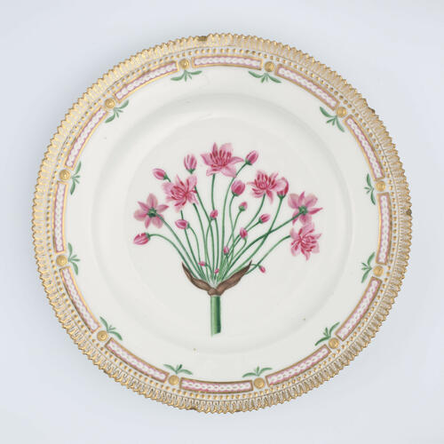 Master: Set of dinner plates
Item: Butomus umbellatus