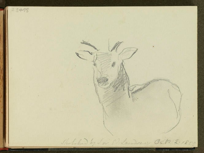 Master: SKETCHES FROM NATURE V. R. 1851 TO 1855
Item: Stag killed by Albert