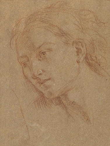 905374.jpg