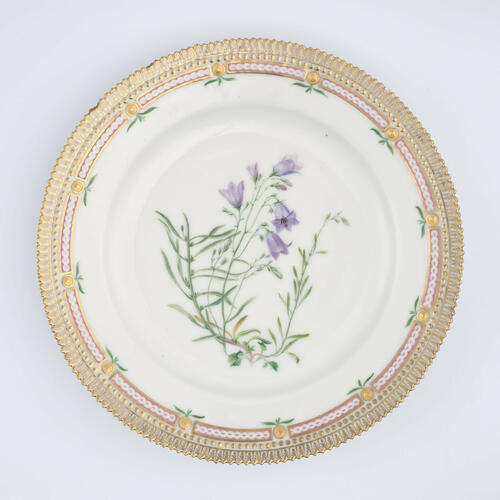 Master: Set of dinner plates
Item: Campanula rotundifolia