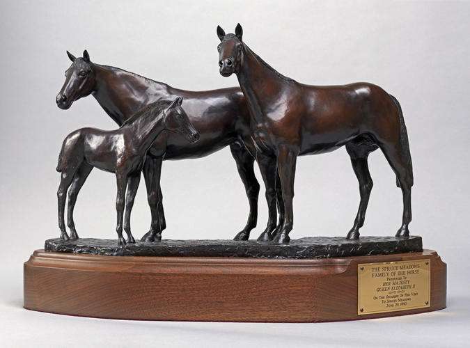 Stallion, mare and foal