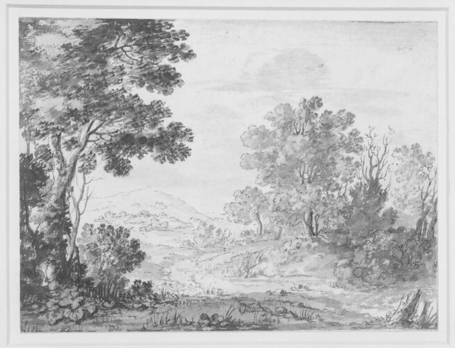 Wooded landscape with a road and mountains in the distance