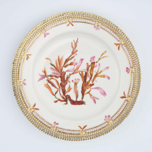 Master: Set of dinner plates
Item: Phyllophora rubens