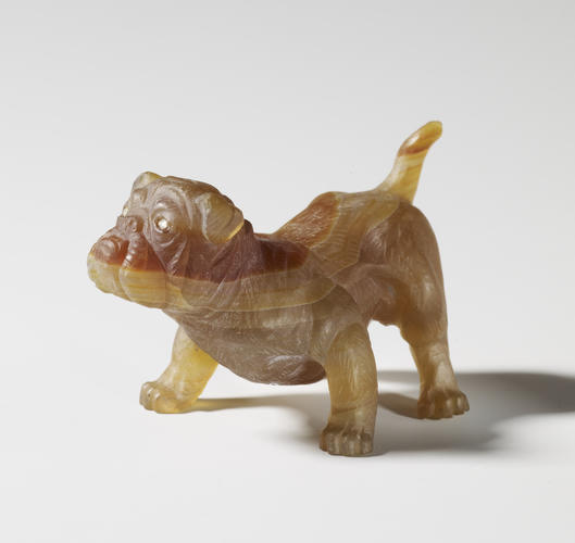 Bulldog