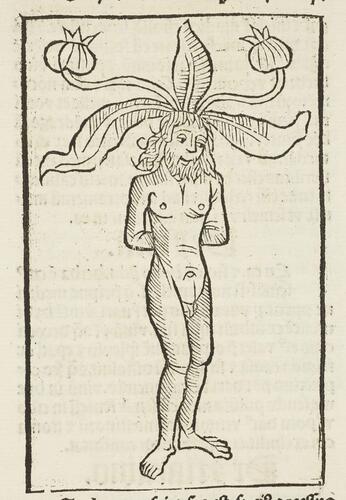 Ruralia commoda / Petrus de Crescentiis Ruralia commoda / Petrus de Crescentiis
