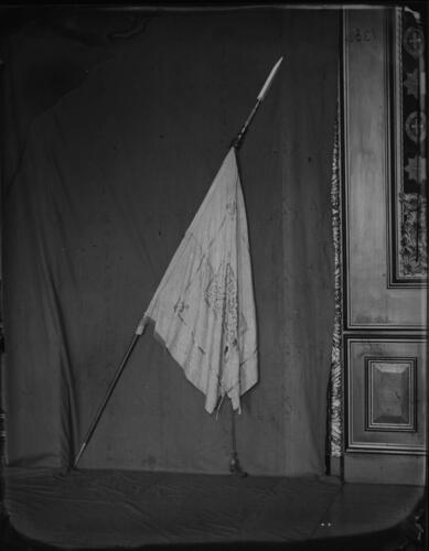 Glass plate negative Glass plate negative