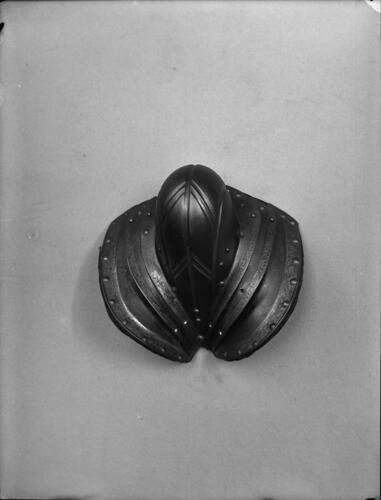 Glass plate negative Glass plate negative