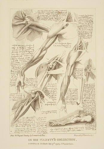 Original designs of the most celebrated masters of the Bolognese, Roman, Florentine and Venetian Schools. . . . in his Majesty's Collection