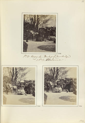Group with horse-drawn carriage Group with horse-drawn carriage