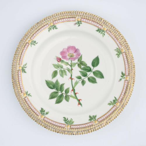 Master: Set of dinner plates
Item: Rosa canina