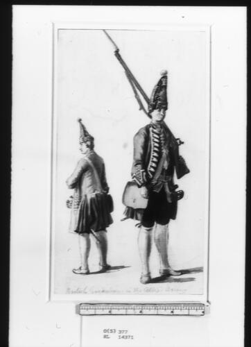 British Grenadiers in the Allied Army