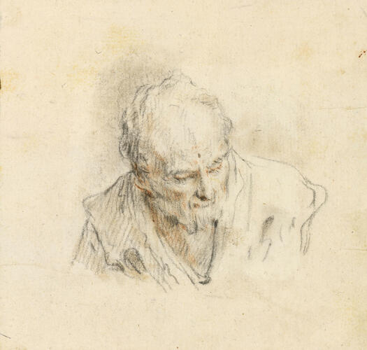 Head of an old man Head of an old man