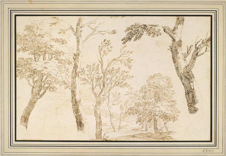 Studies of trees