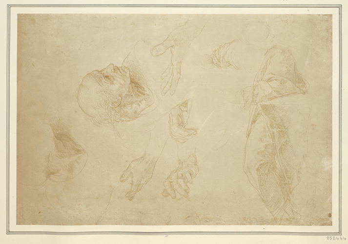 Studies of heads, hands and drapery for the left-hand group in the 'Disputa'