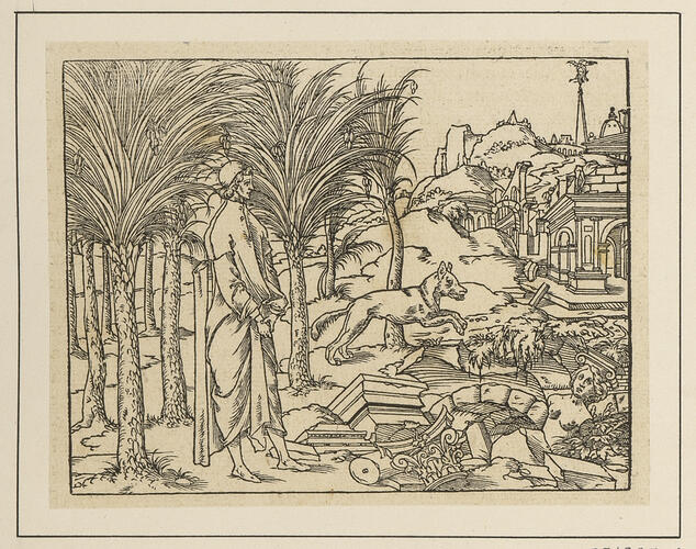 Master: Discours du Songe de Poliphile [Hypnerotomachia Poliphili]
Item: While strolling alone among the palms, Poliphilo encounter a hungry wolf