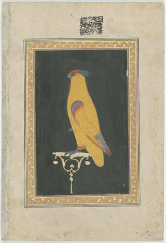 Master: Mughal album of portraits, animals and birds.
Item: Paintings of a lady at her toilette and a parrot