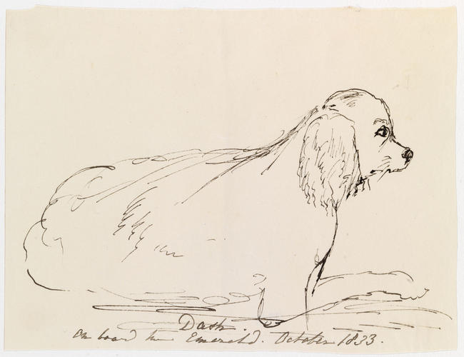 Master: PRINCESS VICTORIA SKETCHES 1
Item: Dash