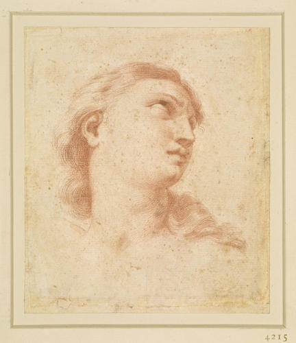 The head of Venus