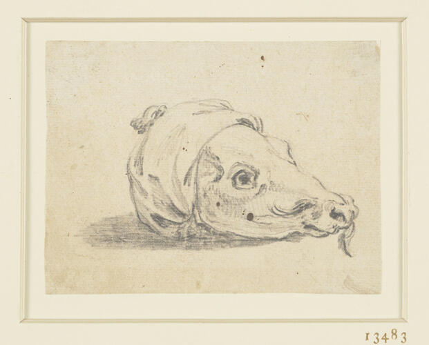 The Calf's Head The Calf's Head