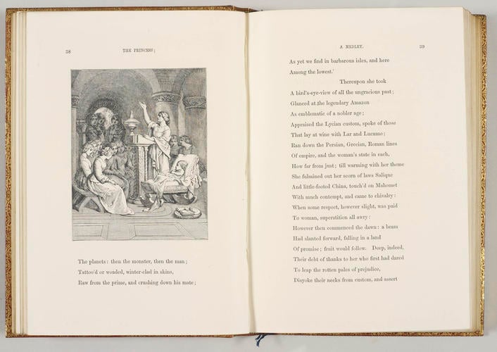 The Princess : a medley / by Alfred Tennyson The Princess : a medley / by Alfred Tennyson