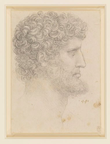 The head of a bearded man The head of a bearded man