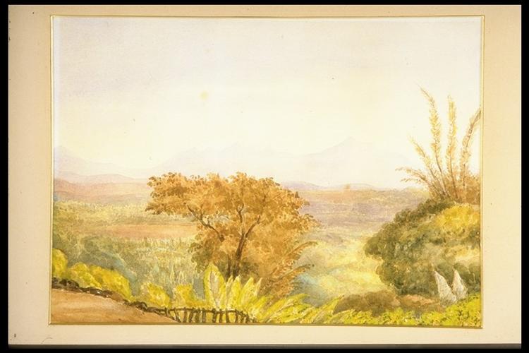 Sketch of the Ghants from the Collector's Garden at Calicut, Madras Sketch of the Ghants from the Collector's Garden at Calicut, Madras