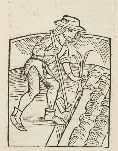 Ruralia commoda / Petrus de Crescentiis Ruralia commoda / Petrus de Crescentiis
