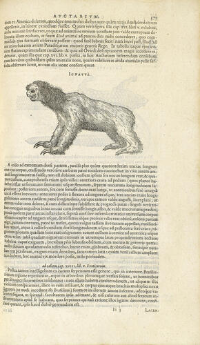 Exoticorum libri decem, quibus animalium, plantarum, aromatum aliorumque pereflorium fructuum historiae describuntur . . Exoticorum libri decem, quibus animalium, plantarum, aromatum aliorumque pereflorium fructuum historiae describuntur . .
