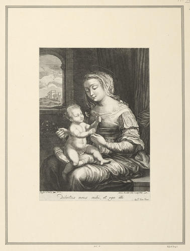 The Virgin and Child with Pinks [`Madonna dei Garofani?]