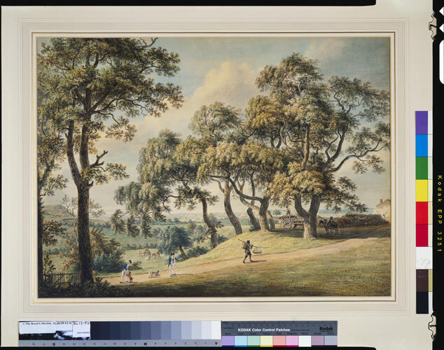 A park scene near Woolwich