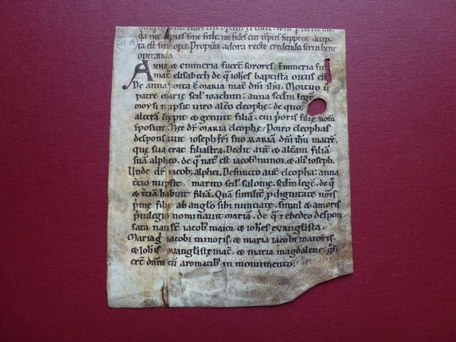 Master: Trinubium of Saint Anne, and other fragments
Item: Trinubium of Saint Anne, etc
