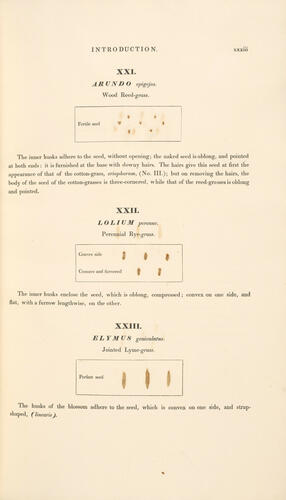 Hortus Gramineus Woburnensis : or an account of the results of experiments on the produce and nutritive qualities of different grasses, and other plants . . . / by George Sinclair Hortus Gramineus Woburnensis : or an account of the results of experiments on the produce and nutritive qualities of different grasses, and other plants . . . / by George Sinclair