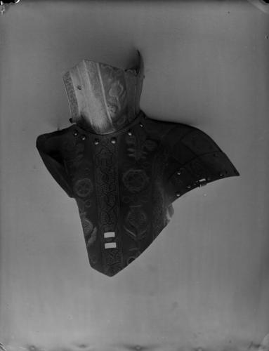 Great guard or volant Great guard or volant