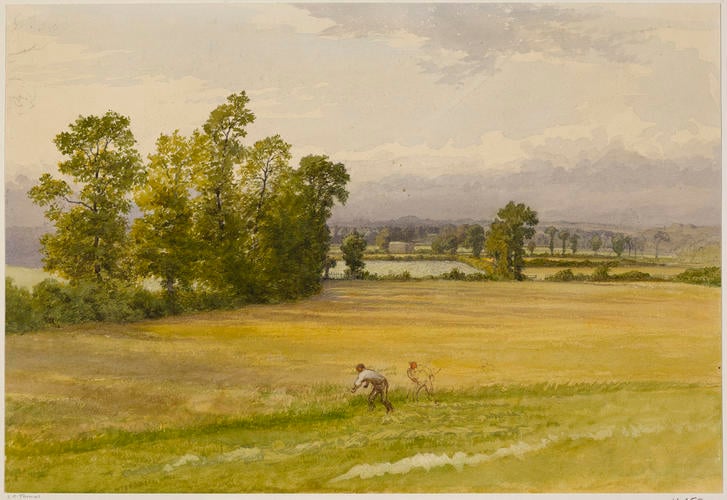 Haymaking
