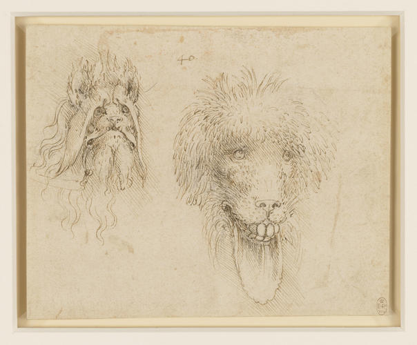 Two heads of grotesque animals